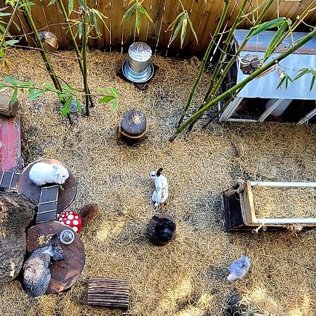 Cozy Af Tiny-House Oasis Villa แทมปา ภายนอก รูปภาพ