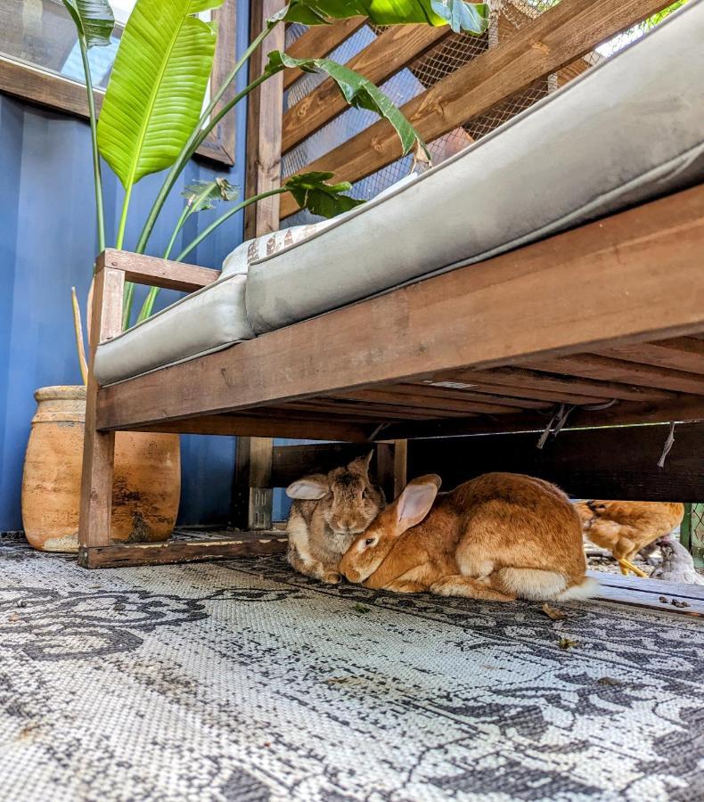 Cozy Af Tiny-House Oasis Villa แทมปา ภายนอก รูปภาพ