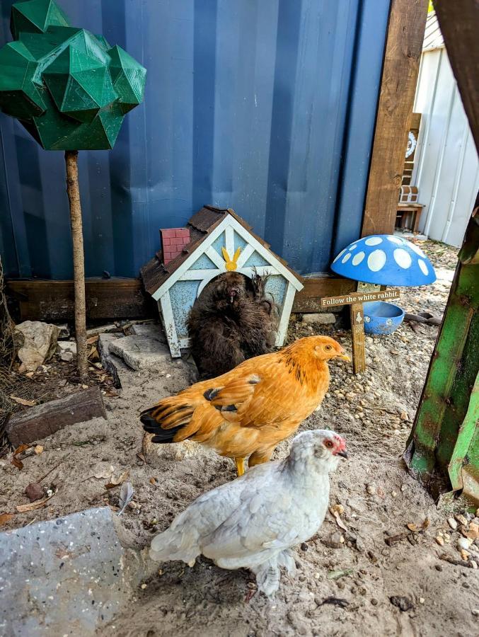 Cozy Af Tiny-House Oasis Villa แทมปา ภายนอก รูปภาพ