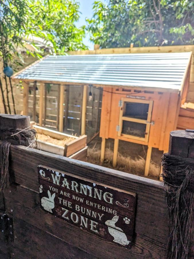 Cozy Af Tiny-House Oasis Villa แทมปา ภายนอก รูปภาพ