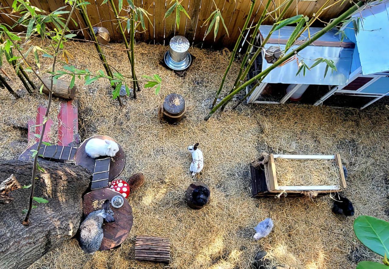 Cozy Af Tiny-House Oasis Villa แทมปา ภายนอก รูปภาพ
