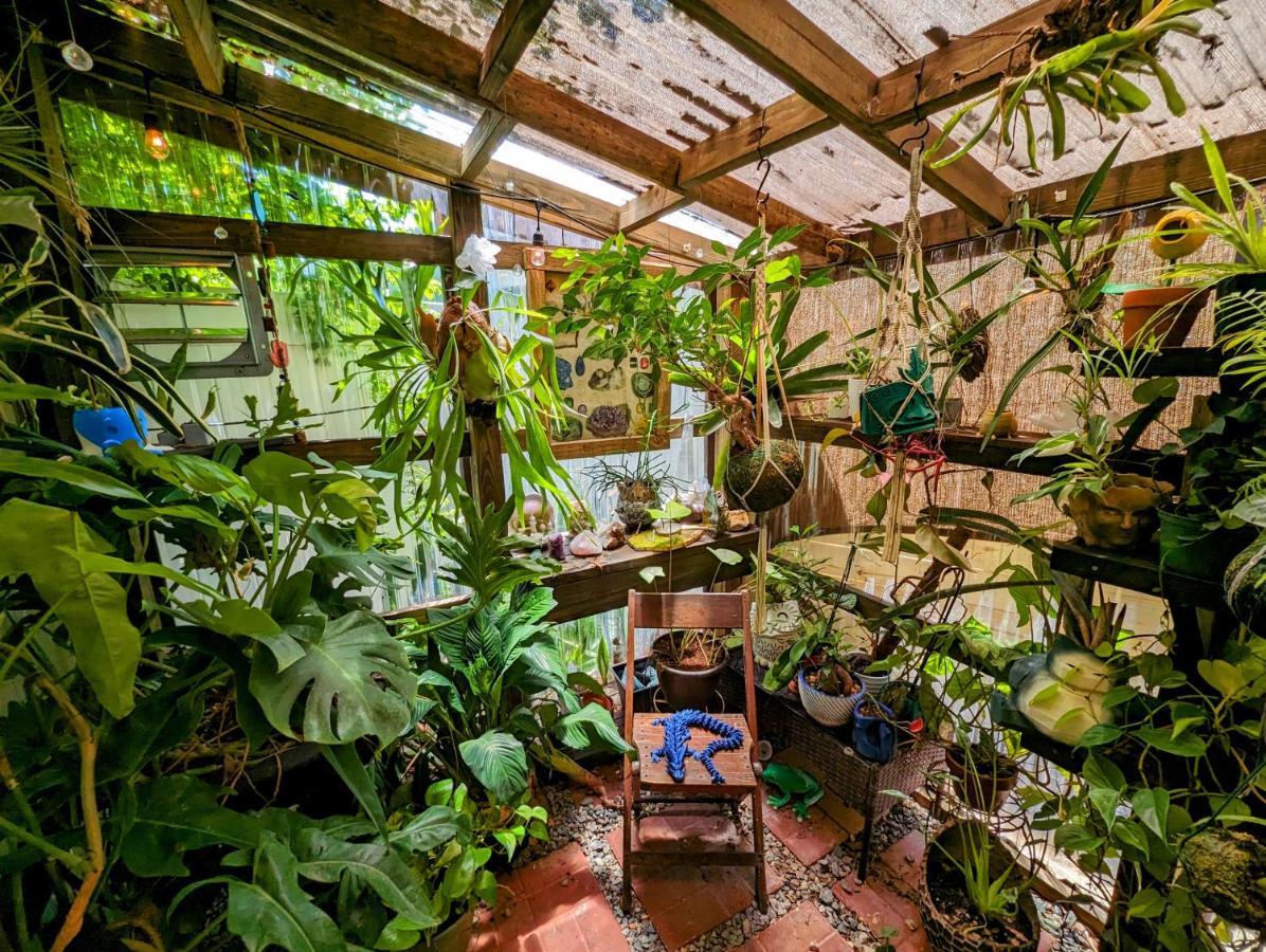 Cozy Af Tiny-House Oasis Villa แทมปา ภายนอก รูปภาพ